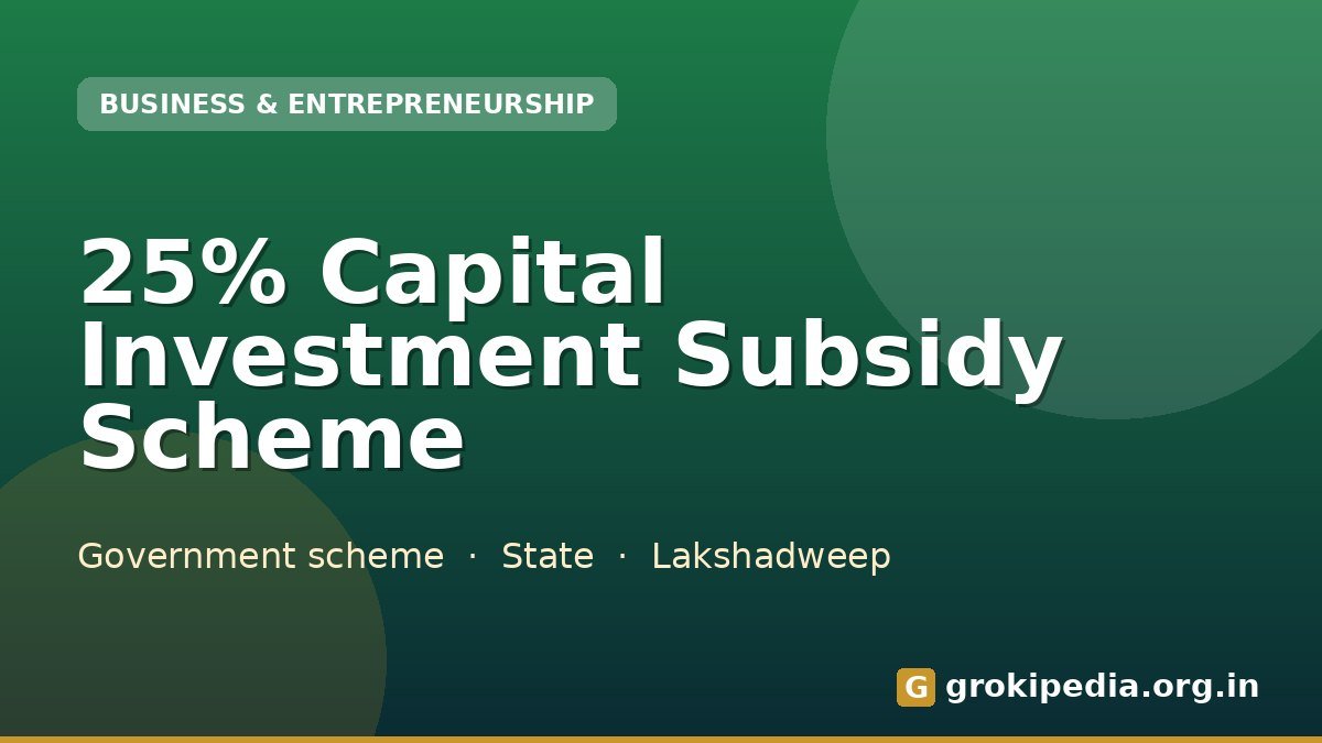 25% Capital Investment Subsidy Scheme